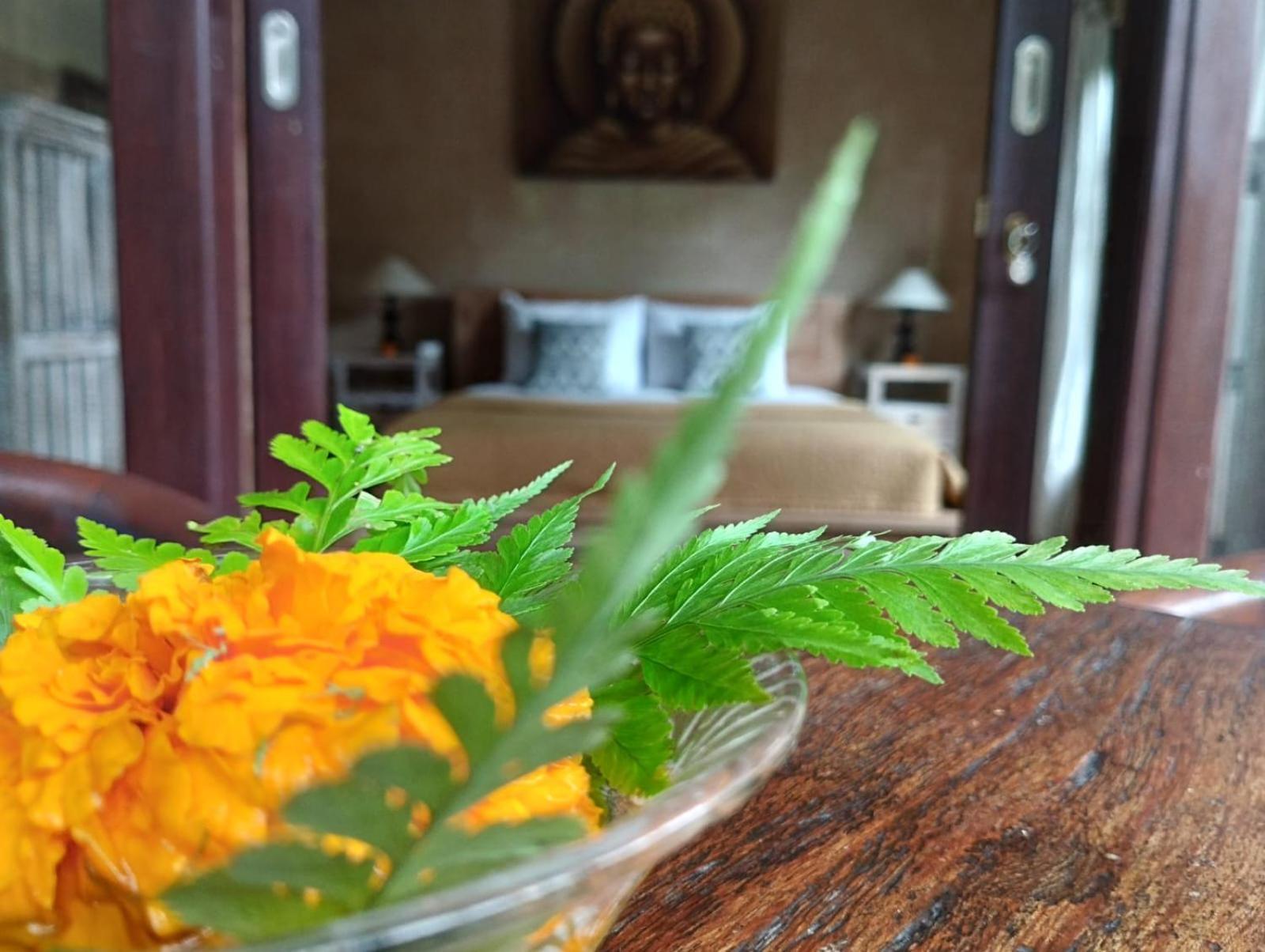 Umah Ubud Guest House Ngoại thất bức ảnh